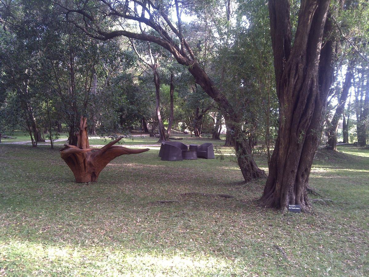 Mara River Camp Aitong Esterno foto
