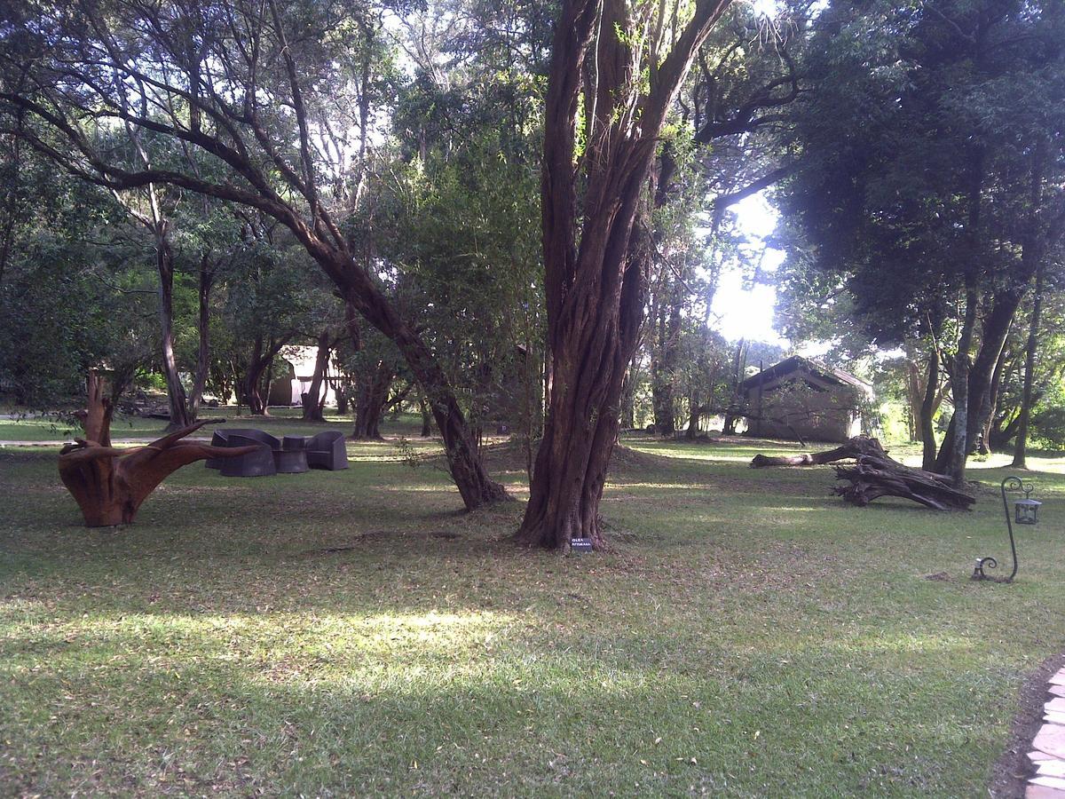 Mara River Camp Aitong Esterno foto